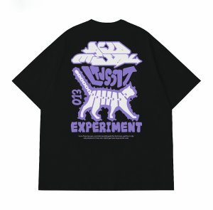 Experiment